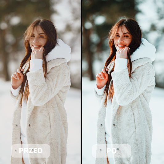 Preset WINTER HOLIDAY