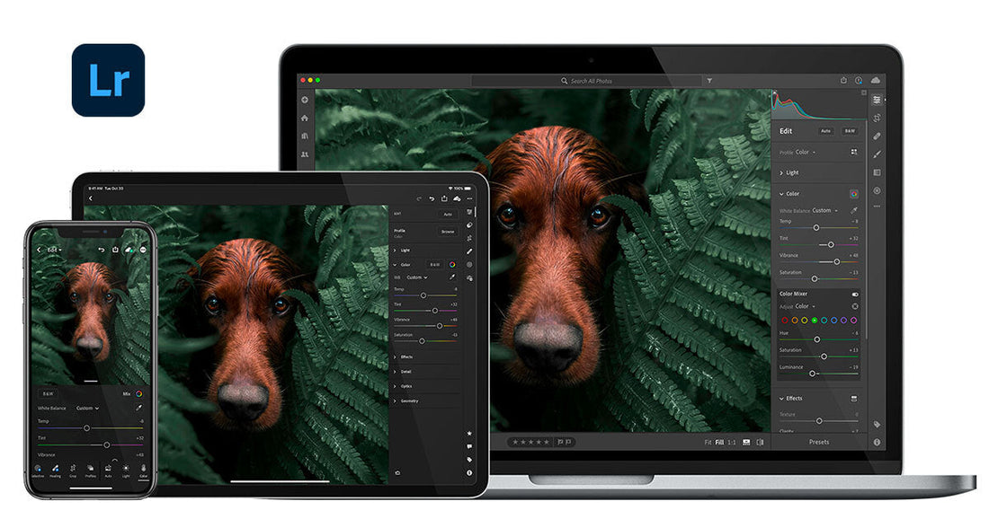 Lightroom Online vs. Aplikacja Desktopowa - Czym się Różnią?