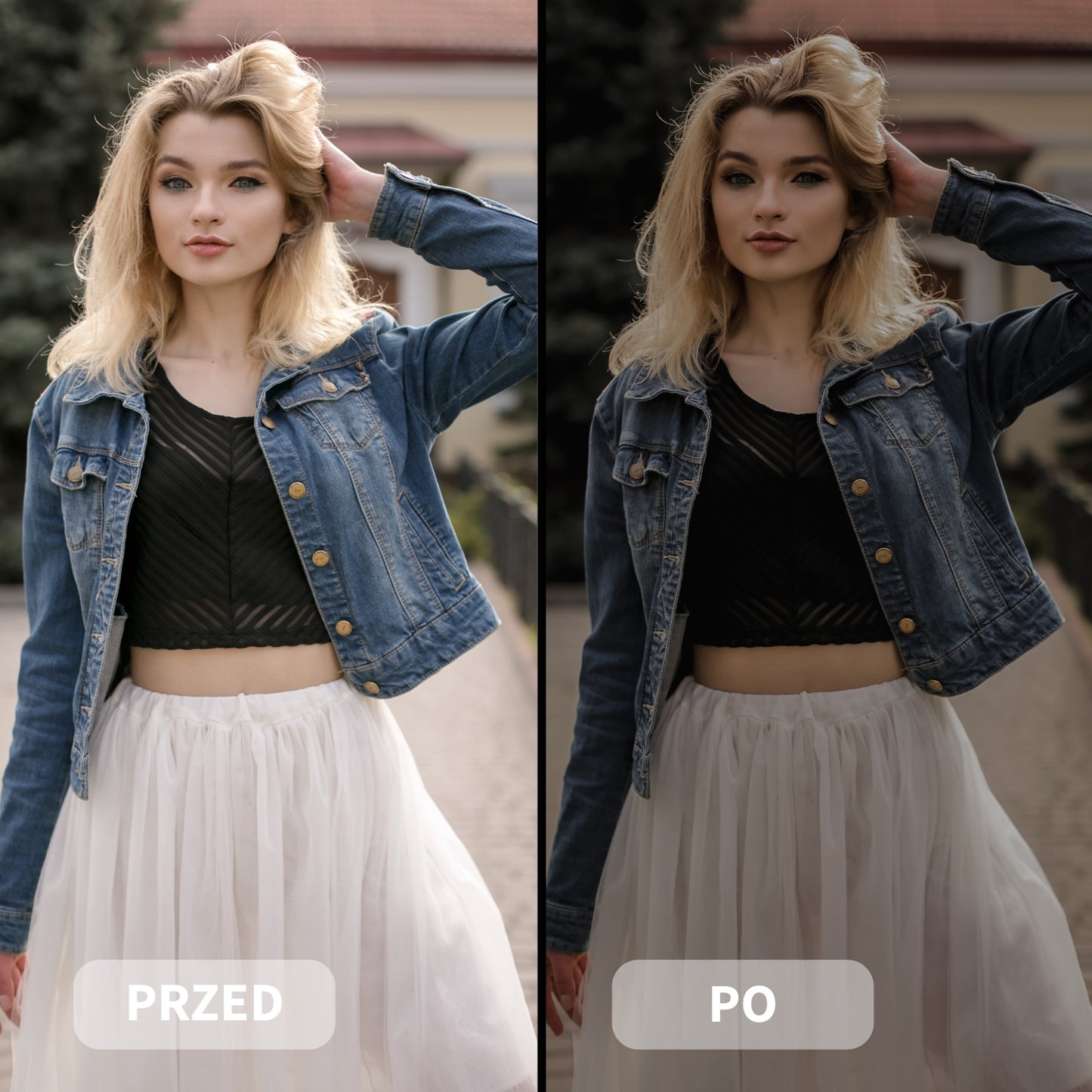 Pakiet DARK (17 Kolekcji)