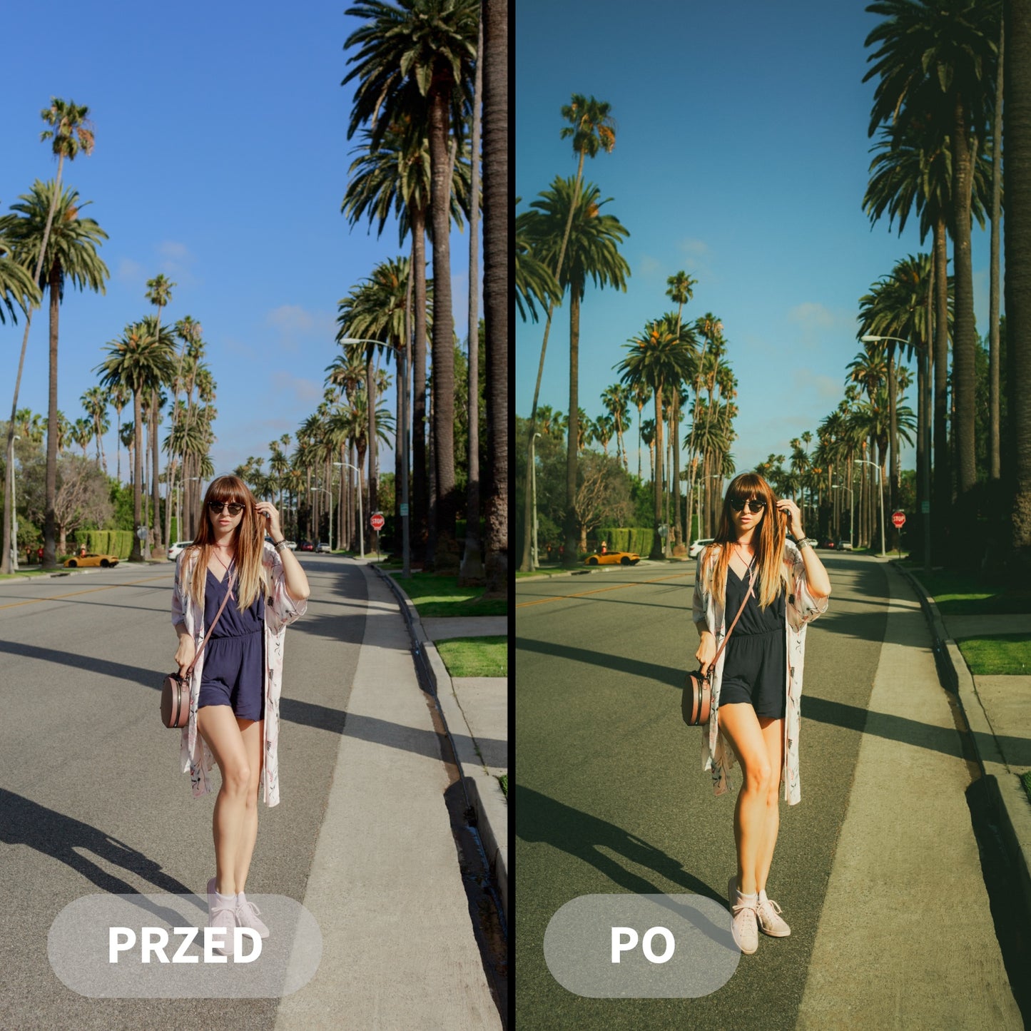 Preset DISPOSABLE CAMERA