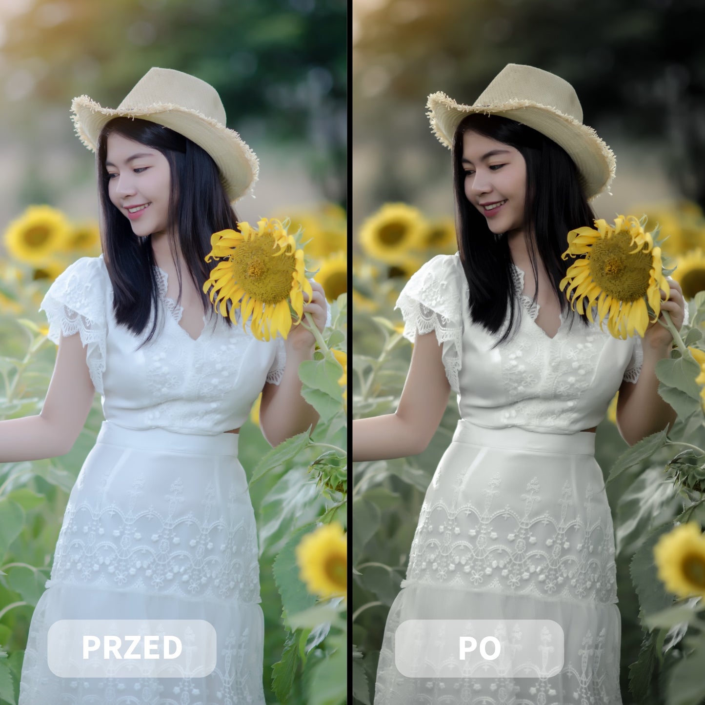Preset GREIGE TONE