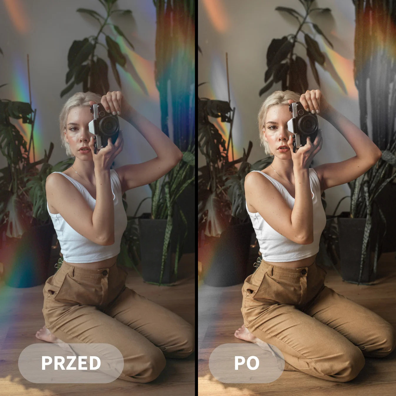 Preseto MEGAPACK (101 Kolekcji)