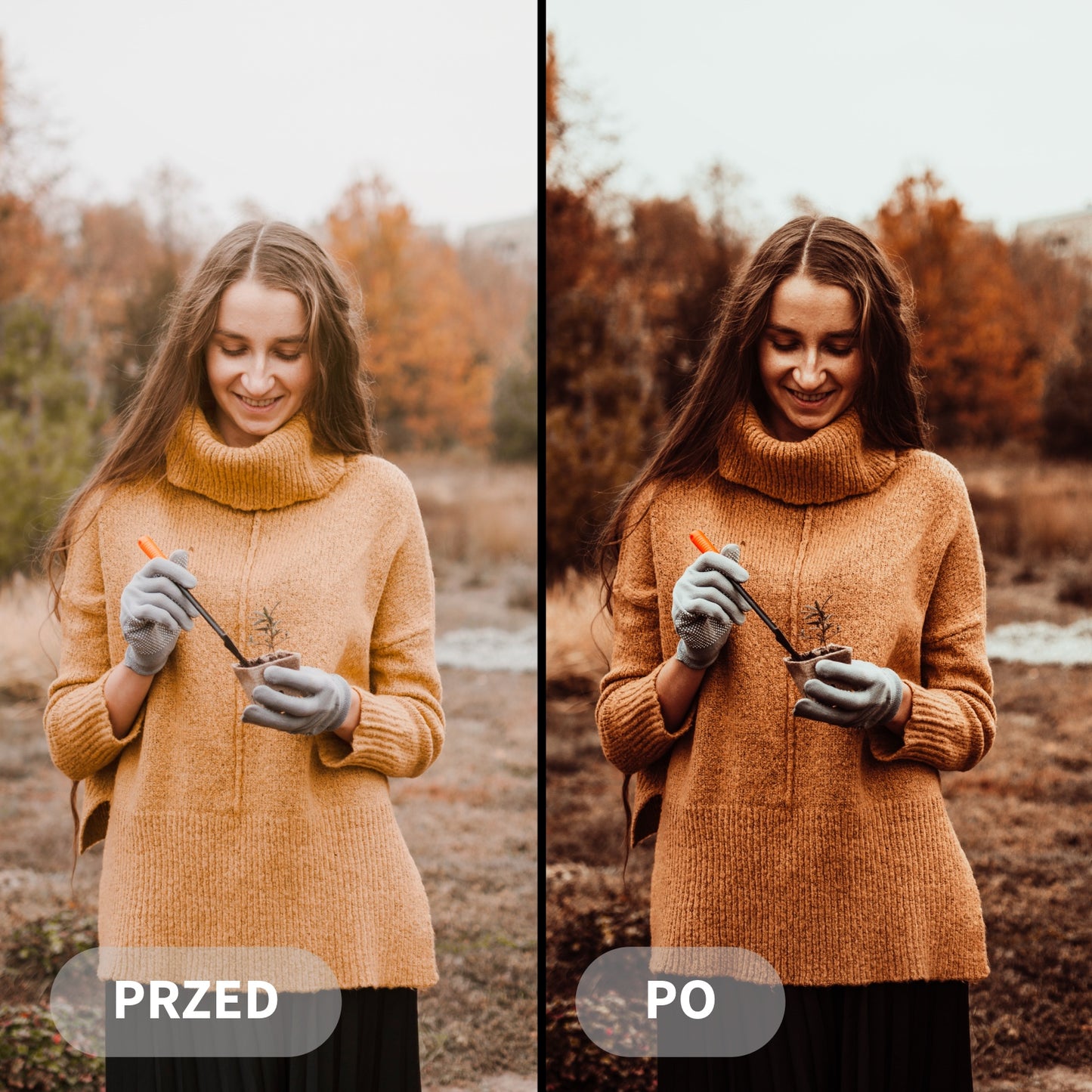 Preset RUSTIC FALL