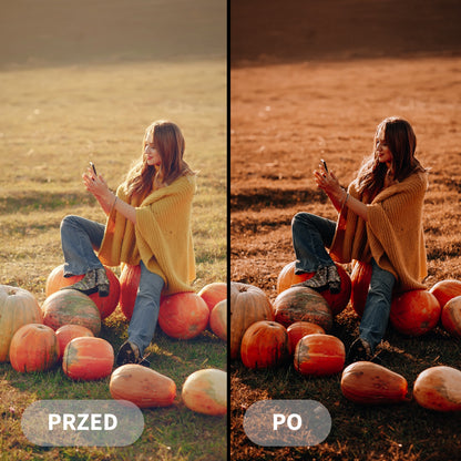 Preset RUSTIC FALL