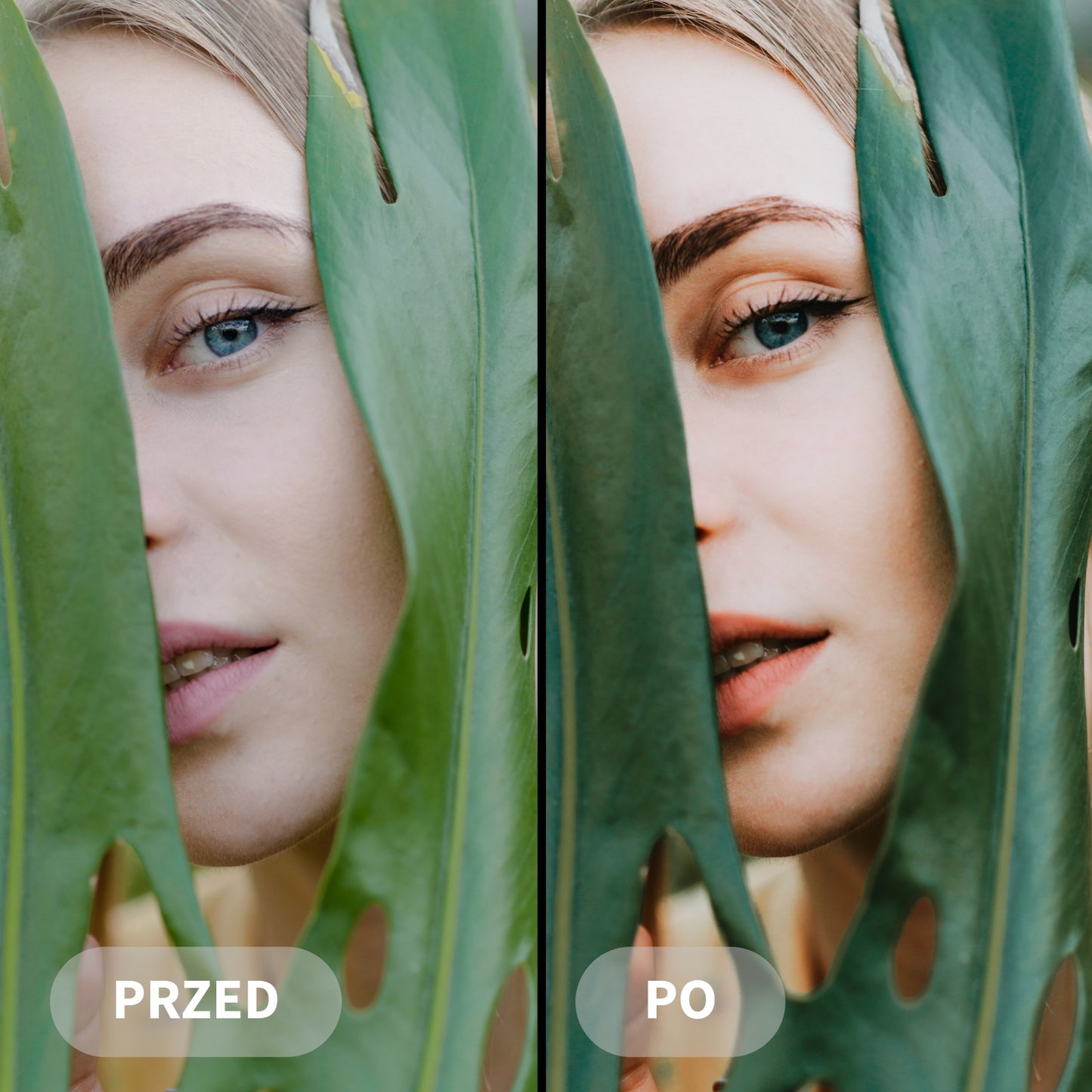 Preset SAGE GREEN