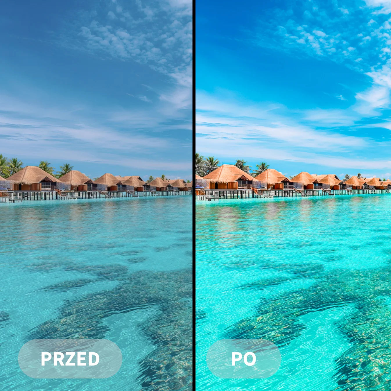 Preseto MEGAPACK (101 Kolekcji)